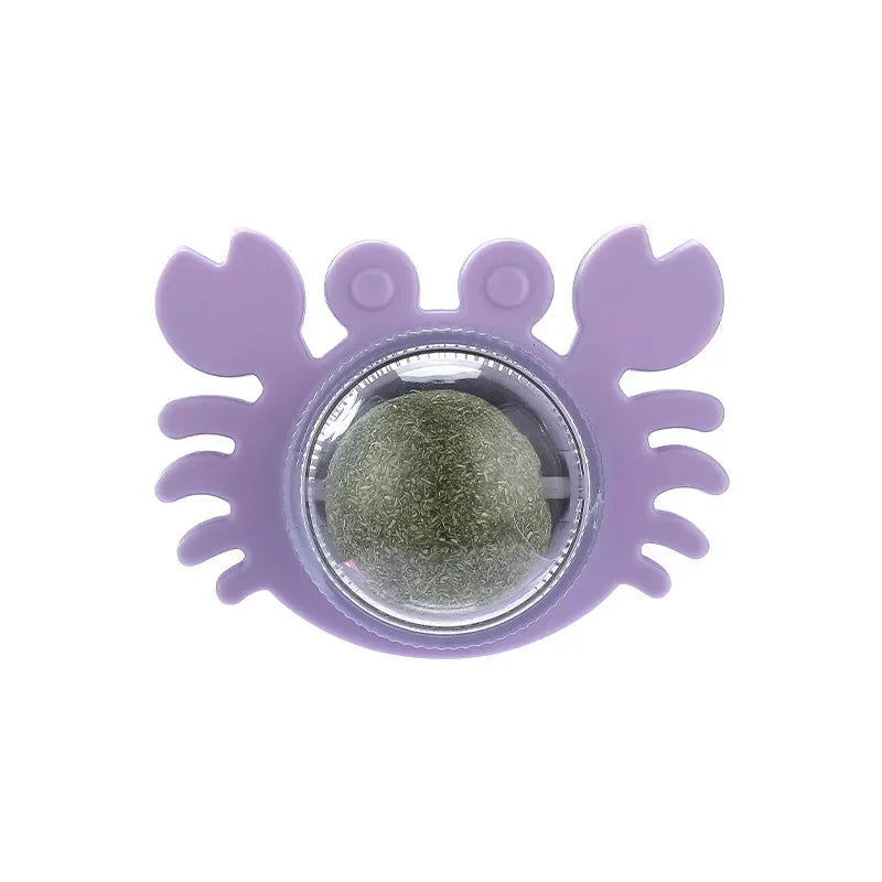 catnip ball for cats