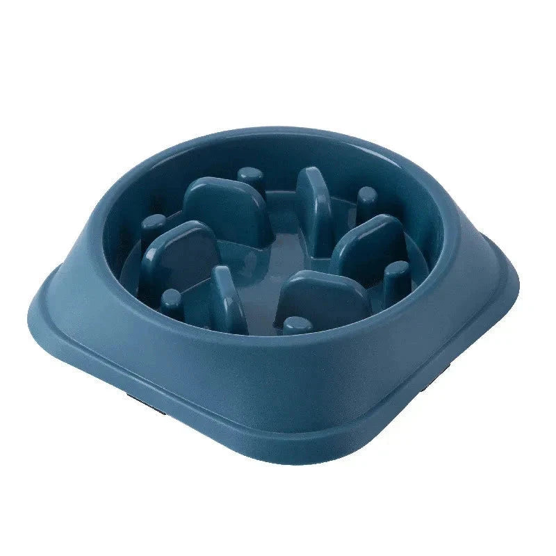 A bowl that makes the dog eat slowly