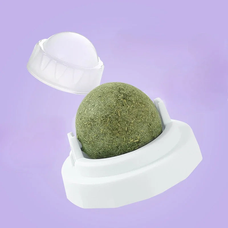 catnip ball for cats