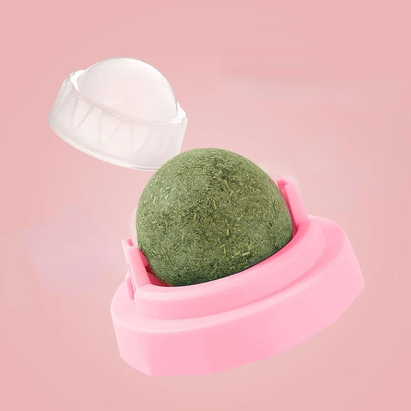 catnip ball for cats