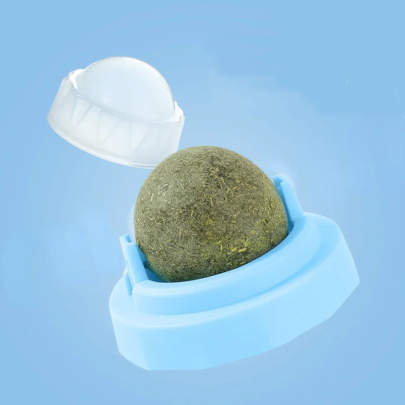 catnip ball for cats