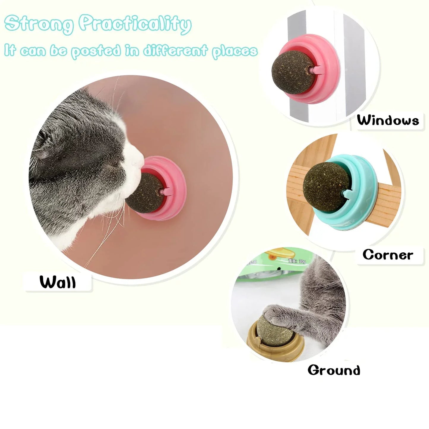 catnip ball for cats