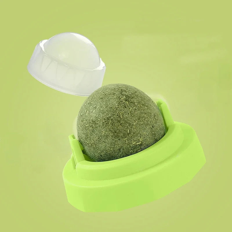 catnip ball for cats