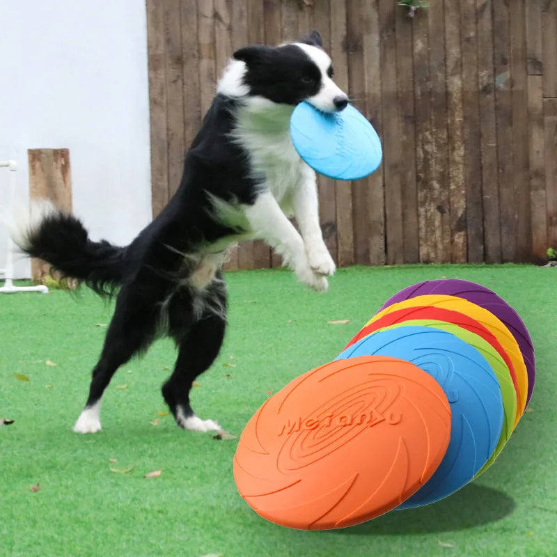 Frisbee for dogs