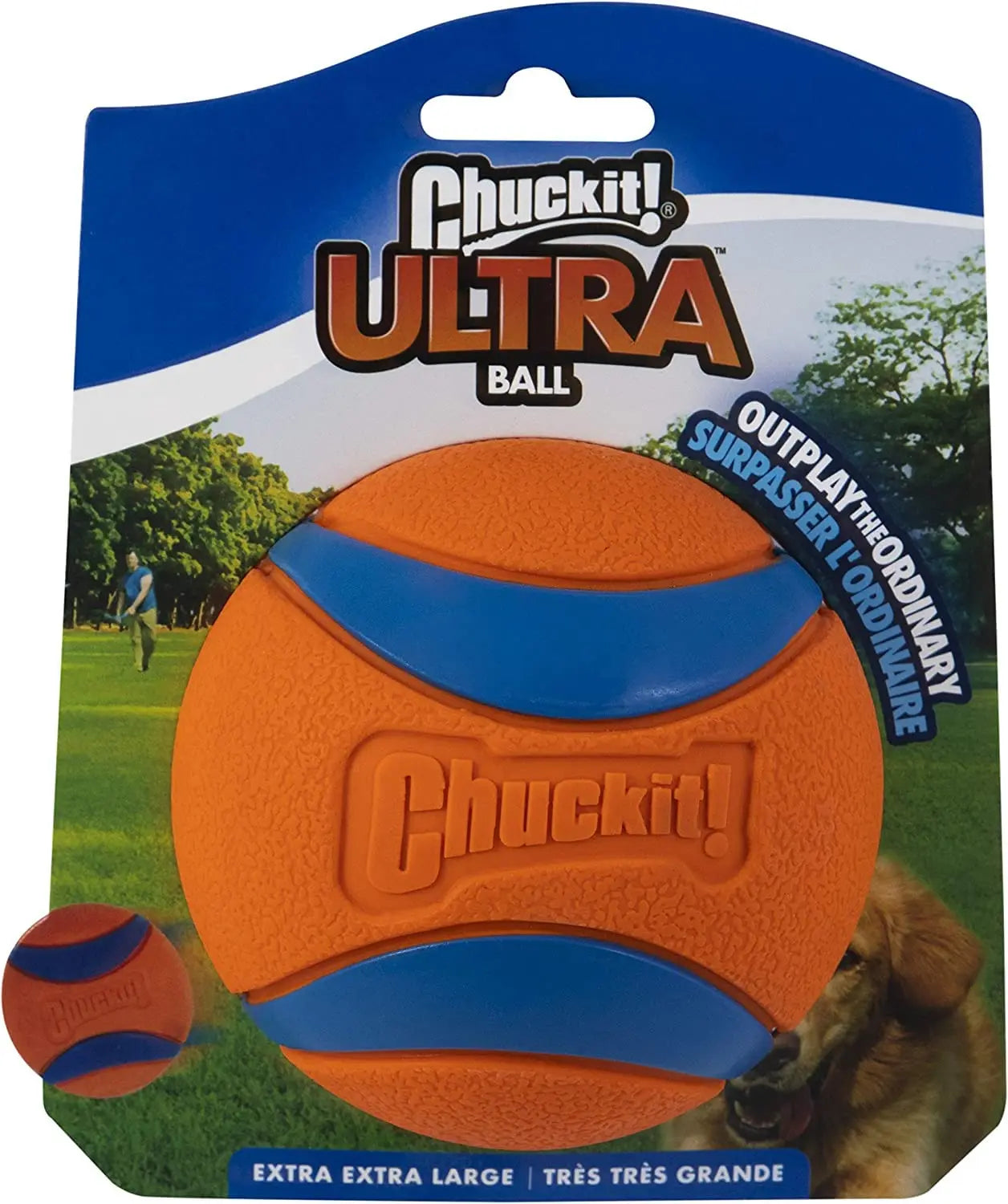 bouncy ball for dogs